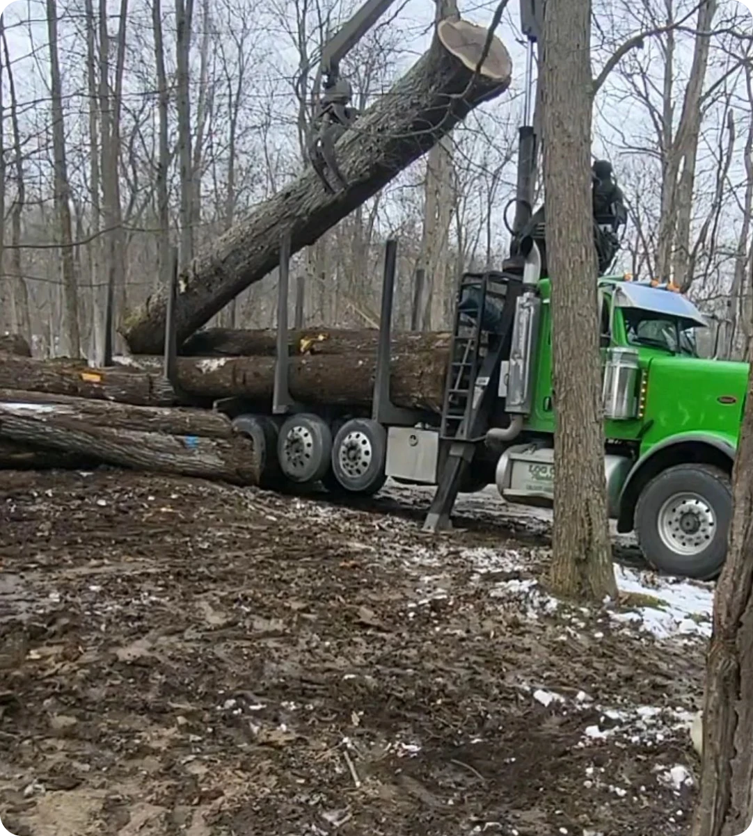 Logging truck in snowy forest