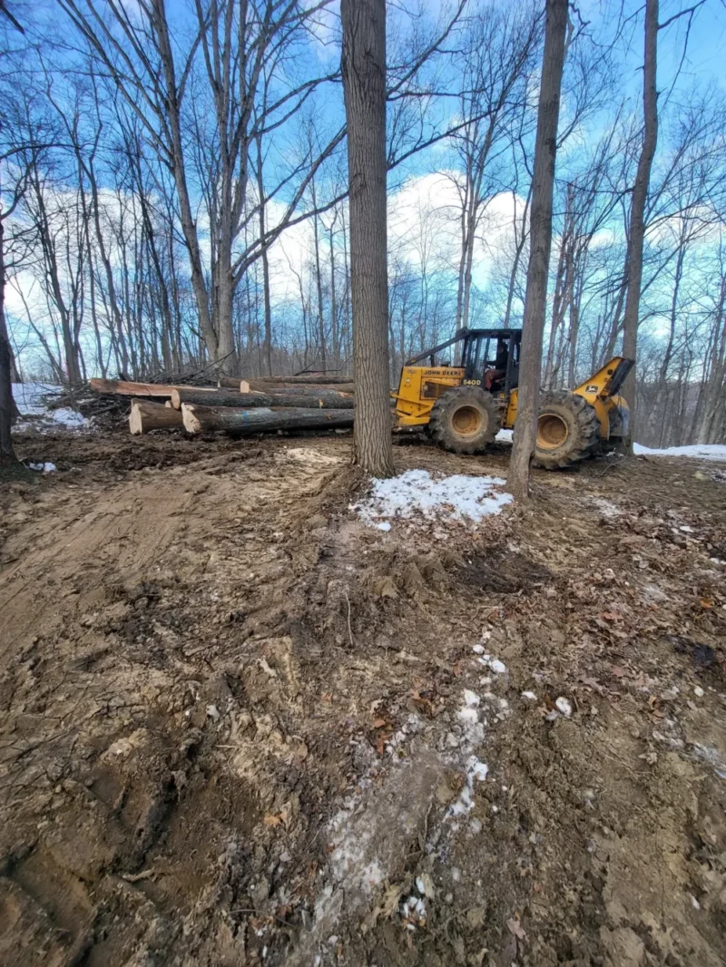 Bulldozer moving logs in woodland