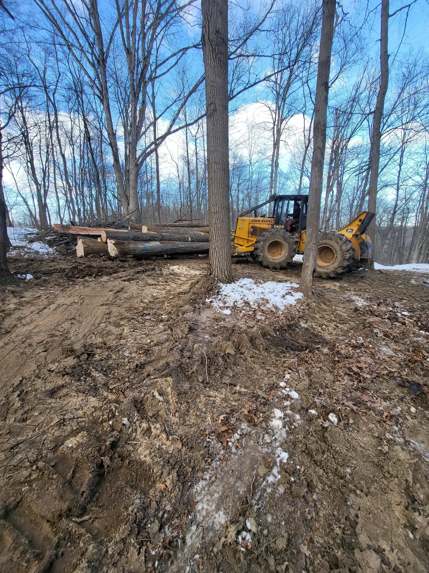 Bulldozer moving logs in woodland