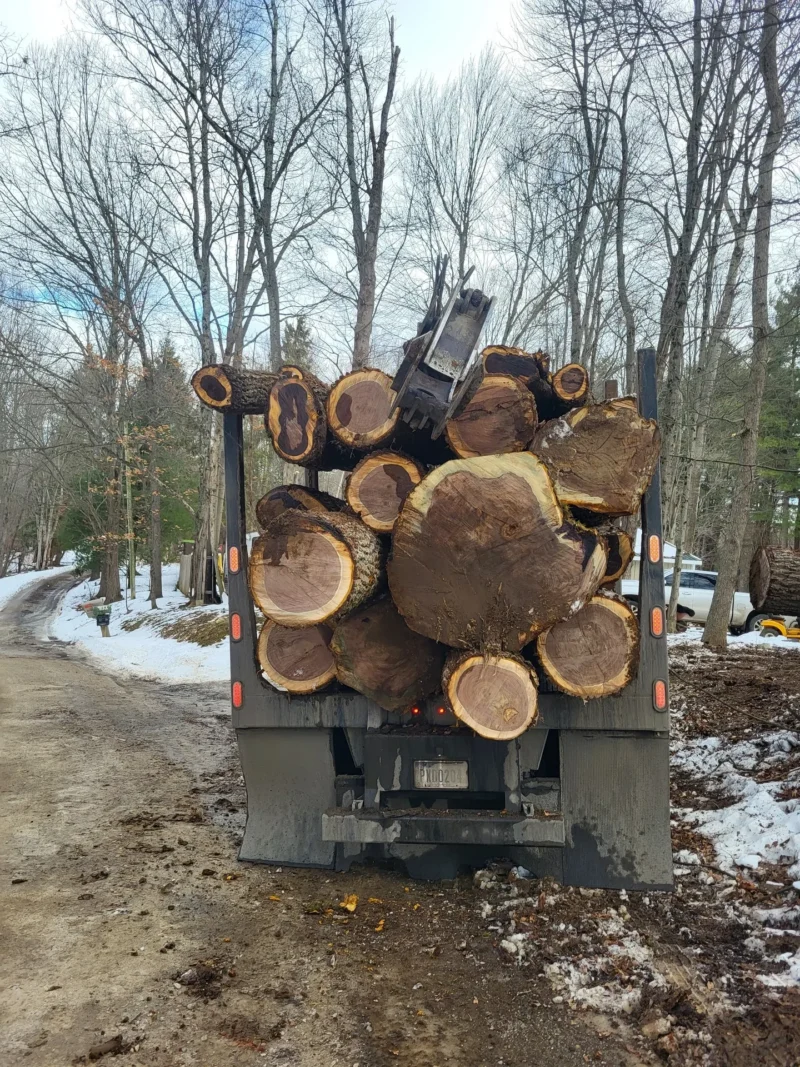 Truck loaded with large tree logs