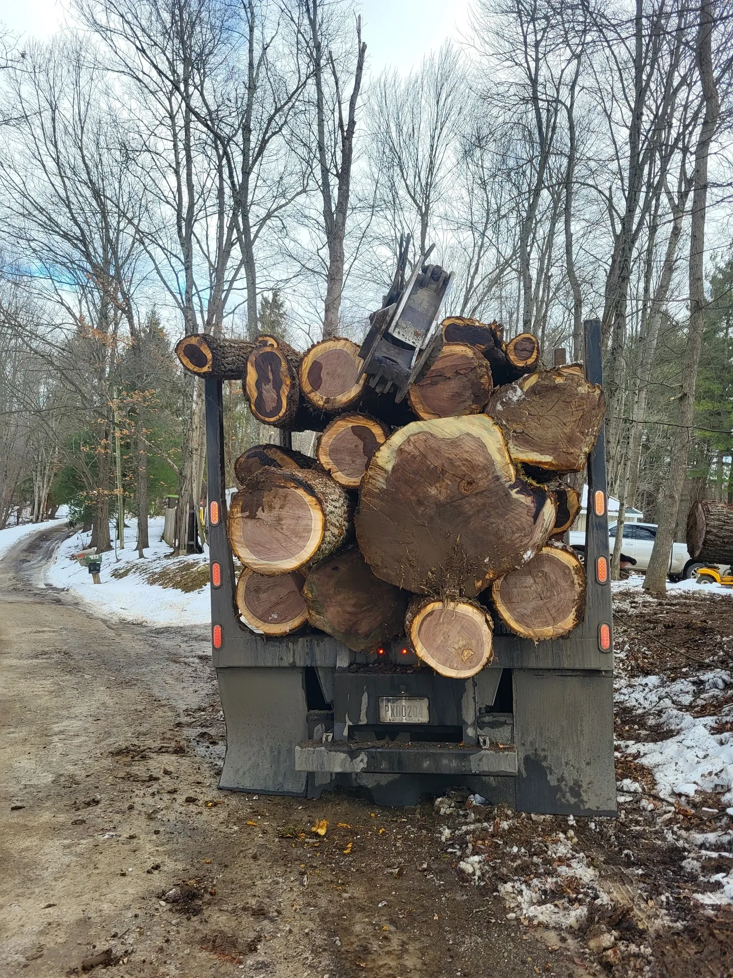 Truck loaded with large tree logs