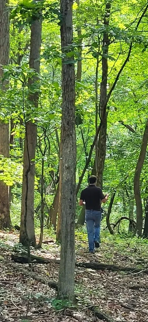 Man strolling through wooded area